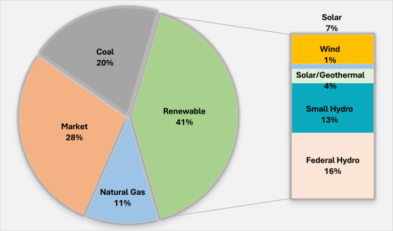 The 2024 energy portfolio shows 41 percent renewable energy in 2024.
